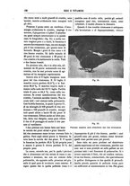 giornale/TO00196196/1918/unico/00000130