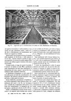 giornale/TO00196196/1918/unico/00000183