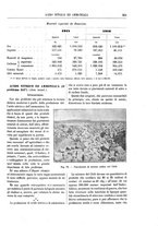 giornale/TO00196196/1918/unico/00000223