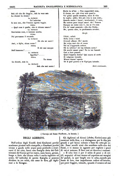 Teatro universale raccolta enciclopedica e scenografica