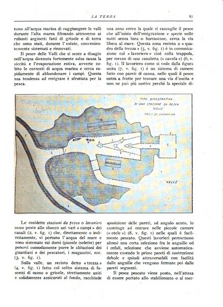 La terra rassegna mensile illustrata della ricostruzione italiana