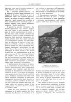 giornale/TO00196505/1925/unico/00000419