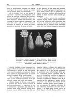 giornale/TO00196505/1925/unico/00000548