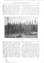 giornale/TO00196505/1925/unico/00000557