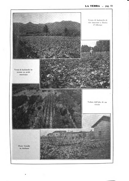 La terra rassegna mensile illustrata della ricostruzione italiana