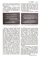 giornale/TO00196505/1928/unico/00000101