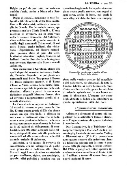 La terra rassegna mensile illustrata della ricostruzione italiana