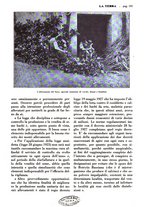 giornale/TO00196505/1928/unico/00000607