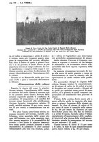 giornale/TO00196505/1928/unico/00000676