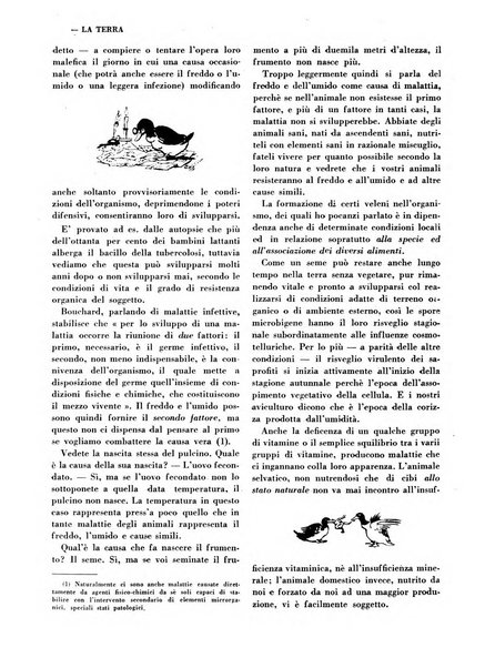 La terra rassegna mensile illustrata della ricostruzione italiana