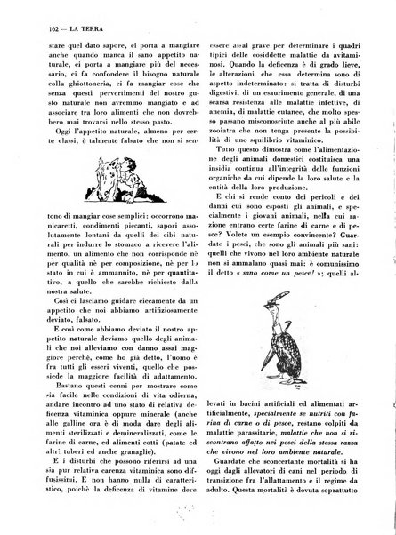 La terra rassegna mensile illustrata della ricostruzione italiana