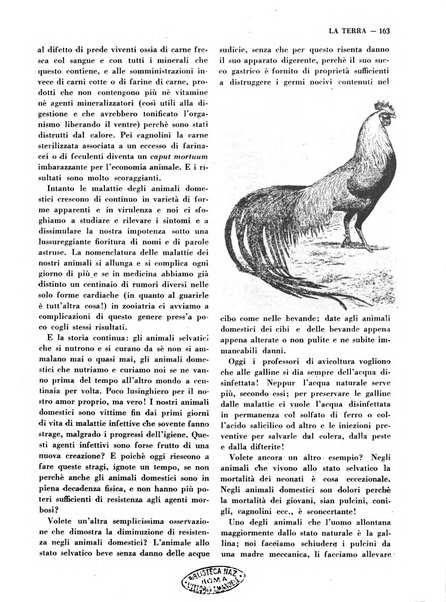 La terra rassegna mensile illustrata della ricostruzione italiana