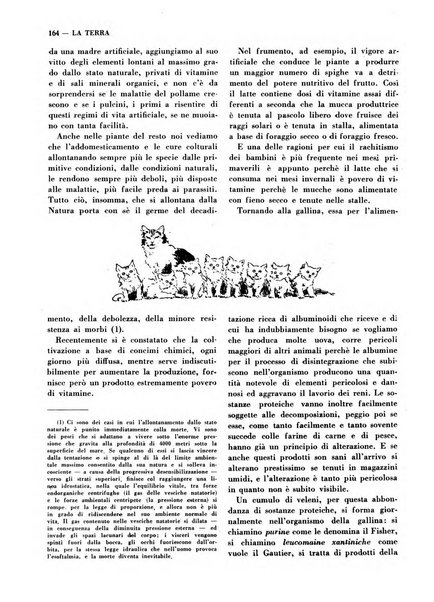 La terra rassegna mensile illustrata della ricostruzione italiana