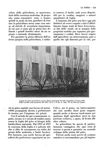 La terra rassegna mensile illustrata della ricostruzione italiana