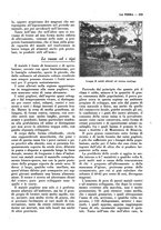 giornale/TO00196505/1930/unico/00000393