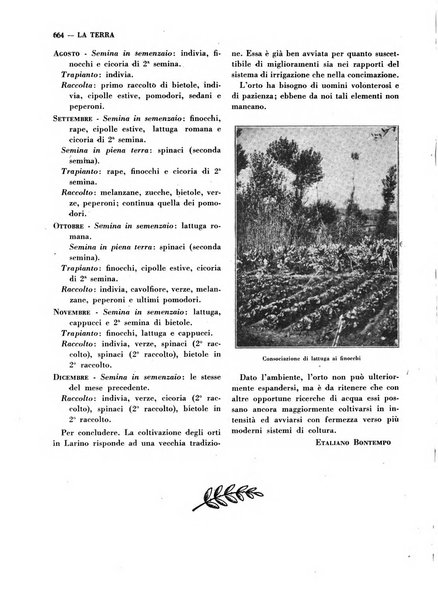 La terra rassegna mensile illustrata della ricostruzione italiana