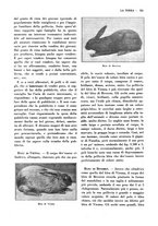 giornale/TO00196505/1930/unico/00000591