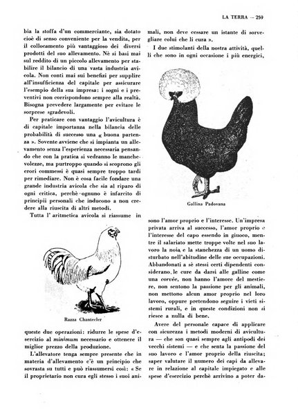 La terra rassegna mensile illustrata della ricostruzione italiana