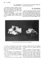 giornale/TO00196505/1932/unico/00000476