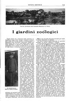 giornale/TO00196599/1910/unico/00000969