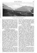 giornale/TO00196599/1916/unico/00000589