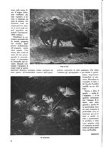 giornale/TO00196679/1937/V.2/00000308