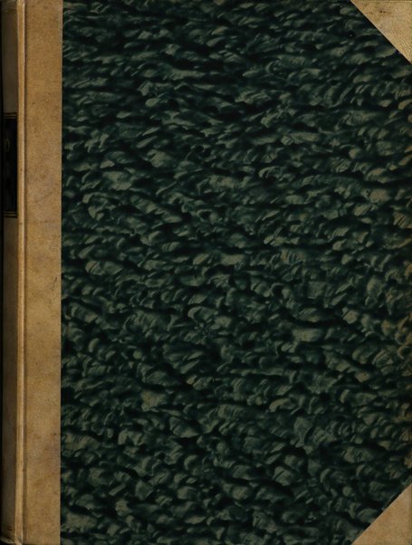 Torino rivista mensile municipale