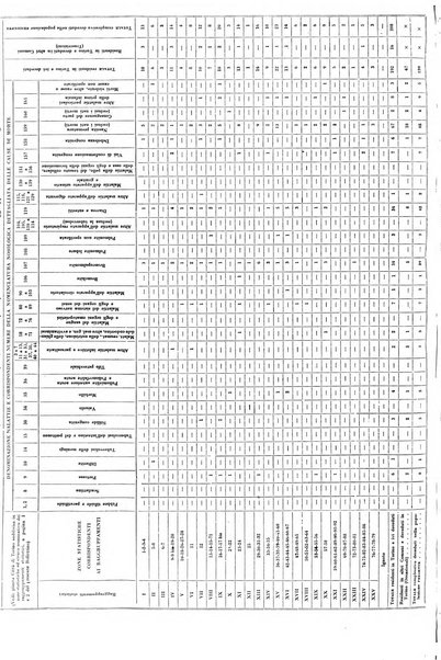 Torino rivista mensile municipale