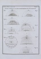 giornale/TO00196822/1731-1732/unico/00000321