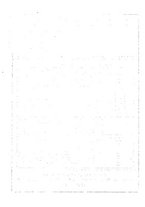 giornale/TO00196836/1941/unico/00000294