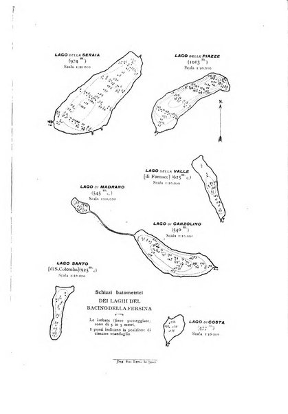 Tridentum rivista bimestrale di studi scientifici