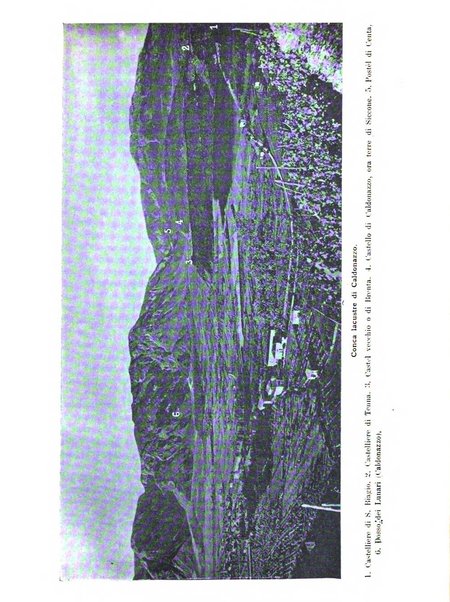 Tridentum rivista bimestrale di studi scientifici