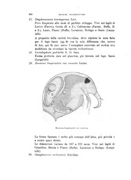 Tridentum rivista bimestrale di studi scientifici