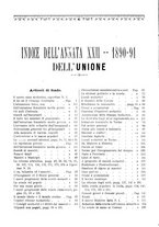 giornale/TO00197089/1890-1891/unico/00000006
