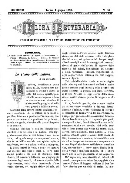 L'unione giornaletto didattico-politico degl'insegnanti primari d'Italia