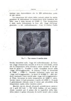 giornale/TO00197239/1939-1940/unico/00000013