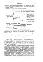 giornale/TO00197278/1925/unico/00000043