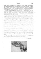 giornale/TO00197278/1925/unico/00000355