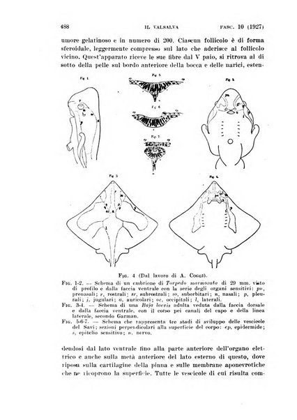 Il Valsalva rivista mensile di oto-rino-laringojatria