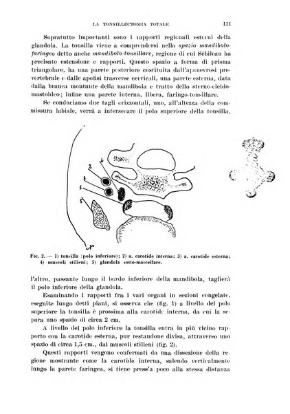 Il Valsalva rivista mensile di oto-rino-laringojatria