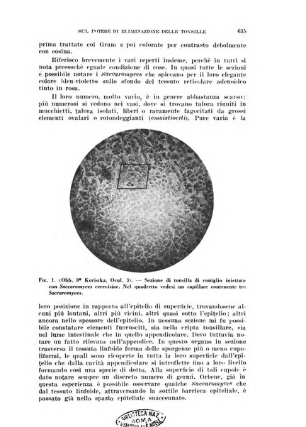 Il Valsalva rivista mensile di oto-rino-laringojatria