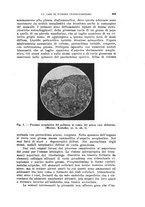 giornale/TO00197278/1932/unico/00000523