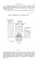 giornale/TO00197278/1934/unico/00000197