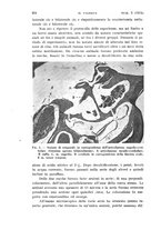 giornale/TO00197278/1934/unico/00000392