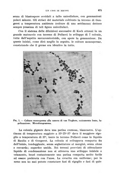 Il Valsalva rivista mensile di oto-rino-laringojatria