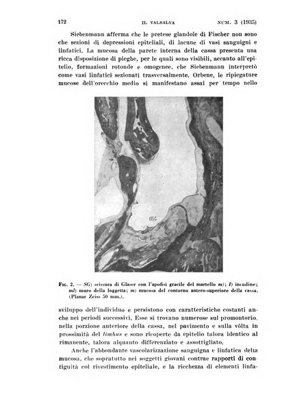 Il Valsalva rivista mensile di oto-rino-laringojatria