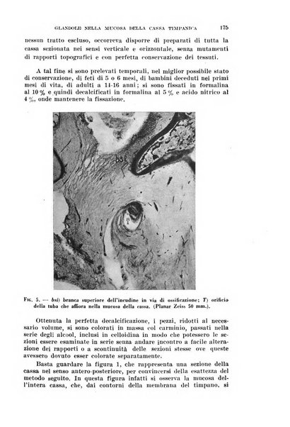 Il Valsalva rivista mensile di oto-rino-laringojatria