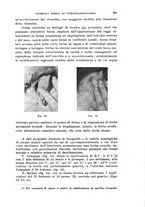 giornale/TO00197278/1936/unico/00000265