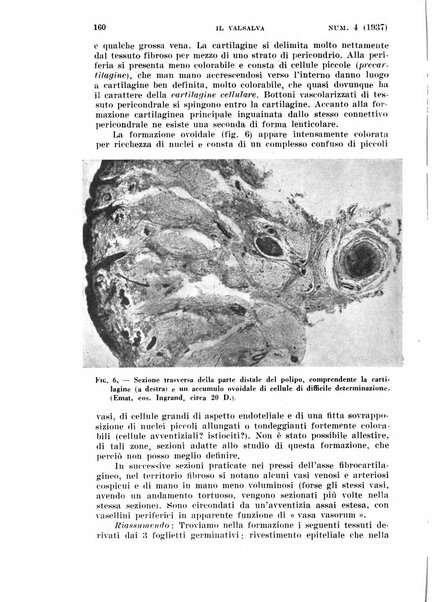 Il Valsalva rivista mensile di oto-rino-laringojatria