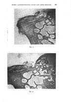 giornale/TO00197278/1938/unico/00000259